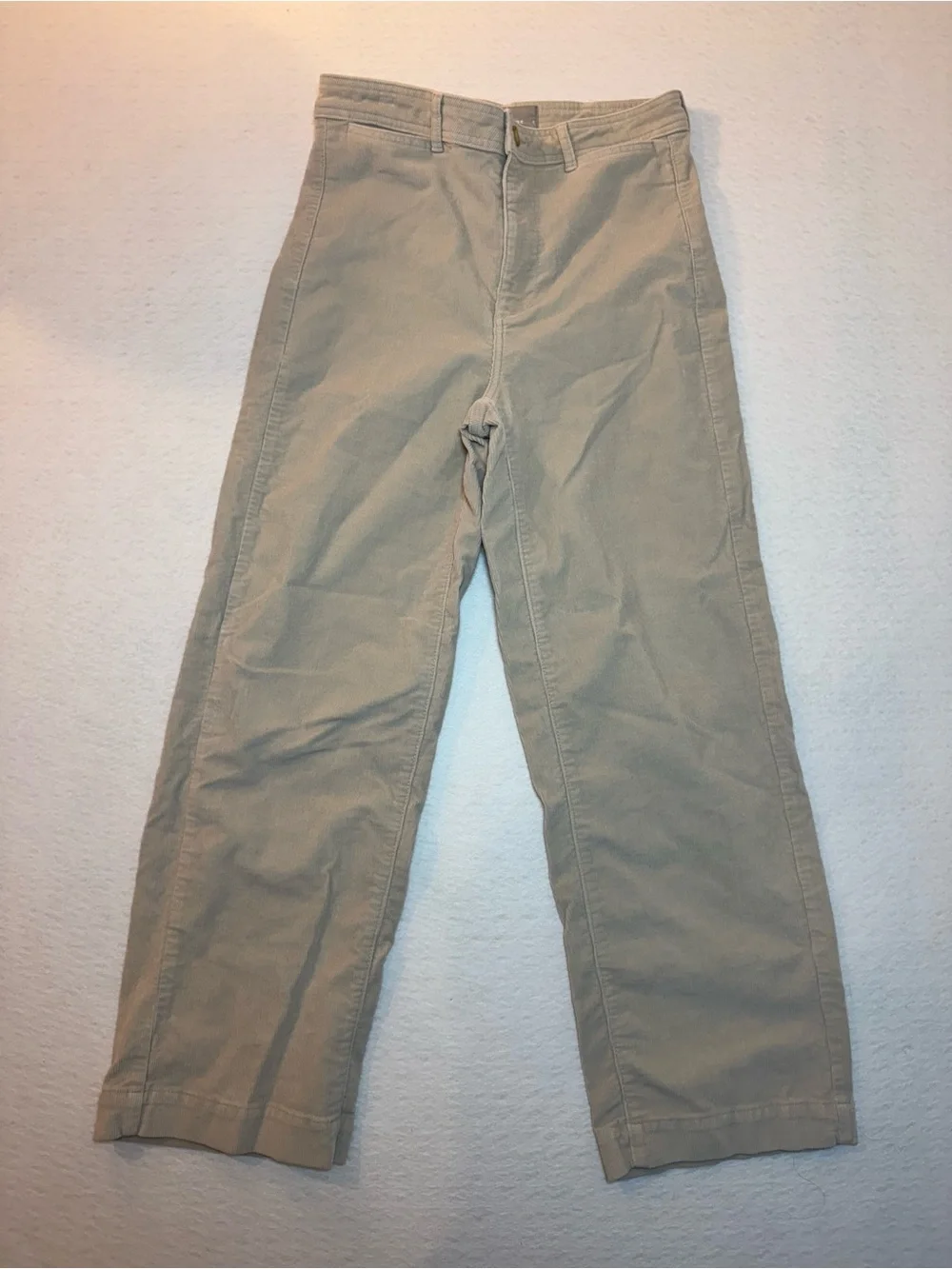 Everlane The Corduroy Wide-Leg Pant Ankle Length Cream Beige Size 6 - Picture 2 of 7